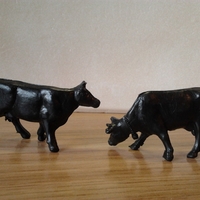 2014-09-28_09_17_25.jpg