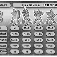 arm_sokol.jpg